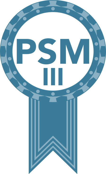 Professional Scrum Master III
