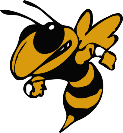 Georgia Tech Yellow Jackets