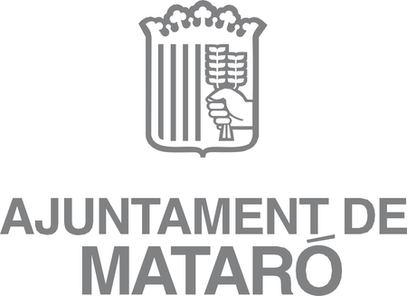 Ajuntament De Mataro 49720
