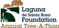 Laguna Annual Tree-A-Thon