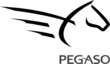 Pegaso