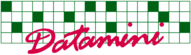 Datamini