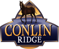 Conlin Ridge