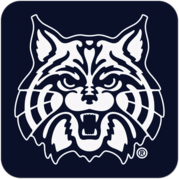Arizona Wildcats thumbnail