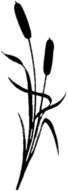 Reed Silhouette