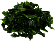 Pile Of Dark Green Seaweed