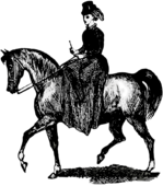 Woman On Horseback Victorian Illustration