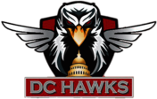 DC Hawks Cricket Team 