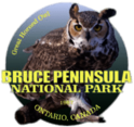 Bruce Peninsula National Park Owl Sticker