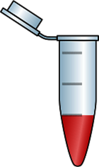 Eppendorf Tube with Red Liquid