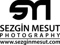 Sezgin Mesut