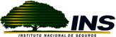 Instituto Nacional de Seguros