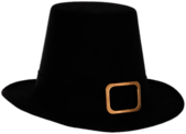 Adult Pilgrim Hat