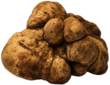 Fresh White Truffle