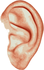 Ear Single