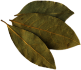 Bay Leaf