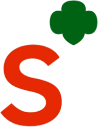 Girl Scouts Seniors shorthand 