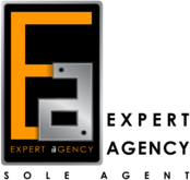 Expert Agency