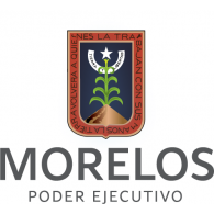 Vision Morelos