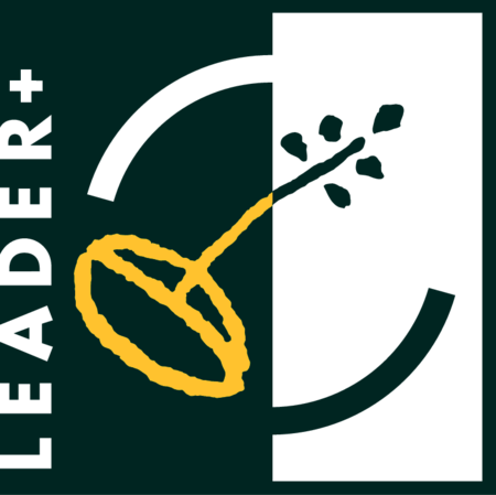 Leader Plus