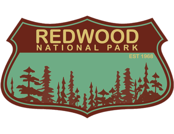 Redwood National Park 