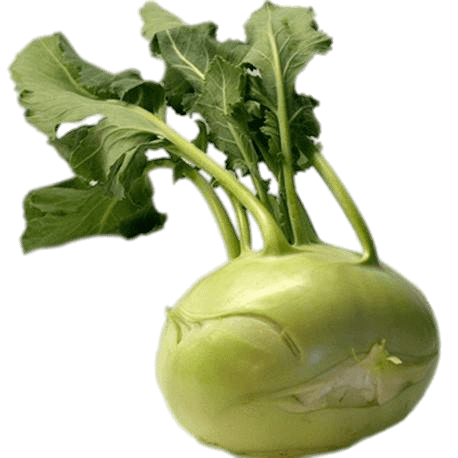 Kohlrabi