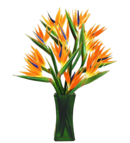 Bird Of Paradise Flowers In A Vase