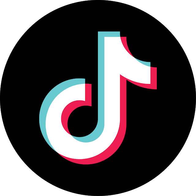 Tik Tok Icon Circle