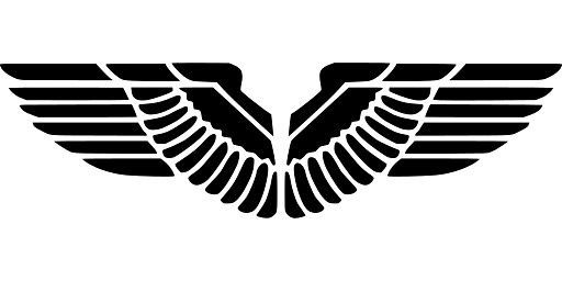 Image of American Eagle Wings