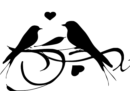 Two Lovebirds on a Branch