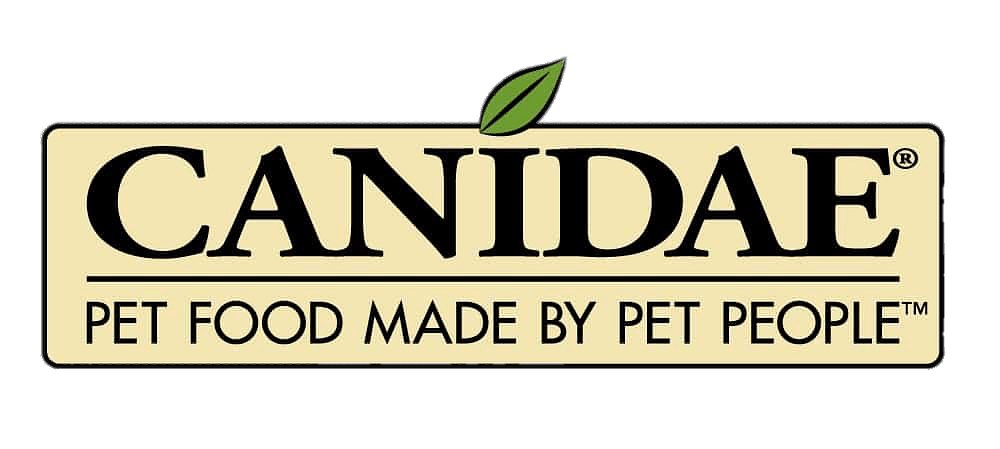 Canidae 