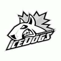 Mississauga Steelheads