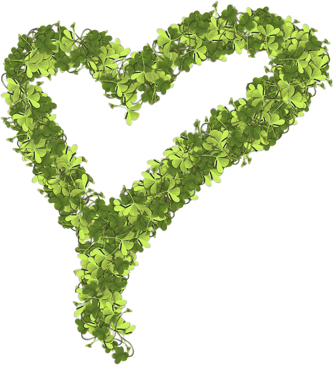 Heart Made Of Shamrocks