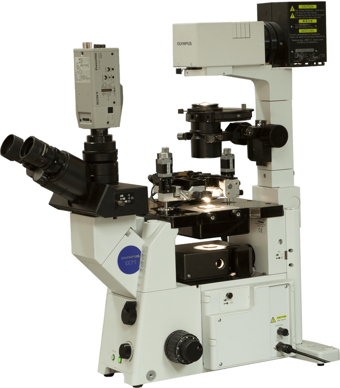 Certus Optic Atomic Force Microscope