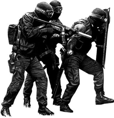 Group Of Swat Officers