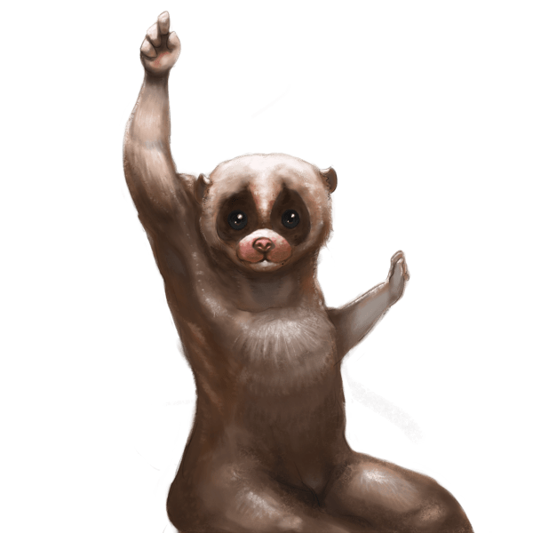 Slow Loris Meme Character
