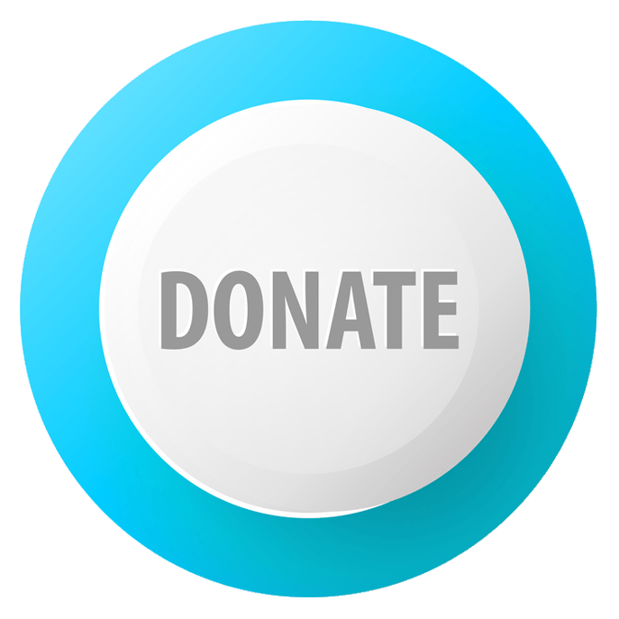 Donate Blue and White Button