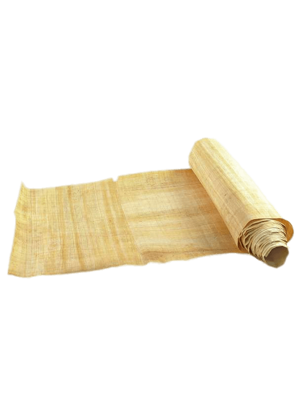 Partly Unrolled Papyrus Roll