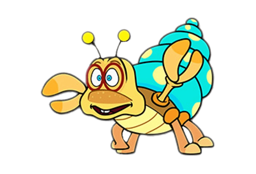 Shelvis the Hermit Crab
