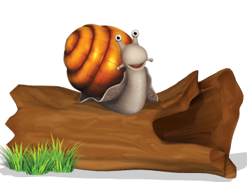 Snail on A Tree Trunk