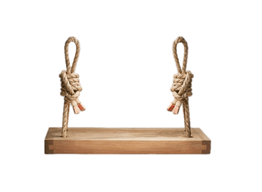 Rope Swing Seat