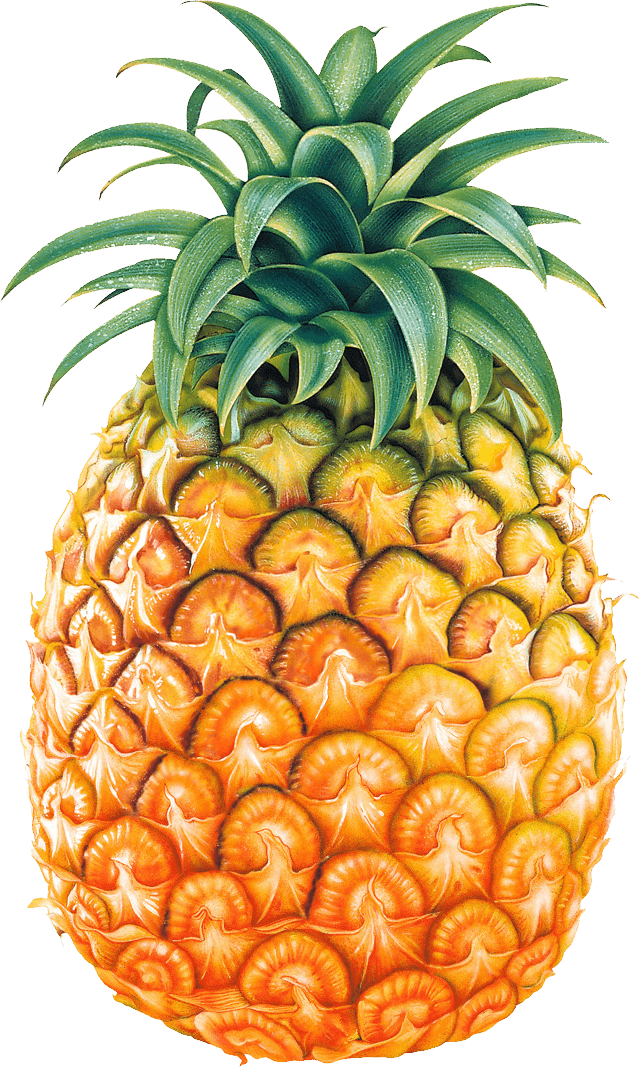 Big Pineapple