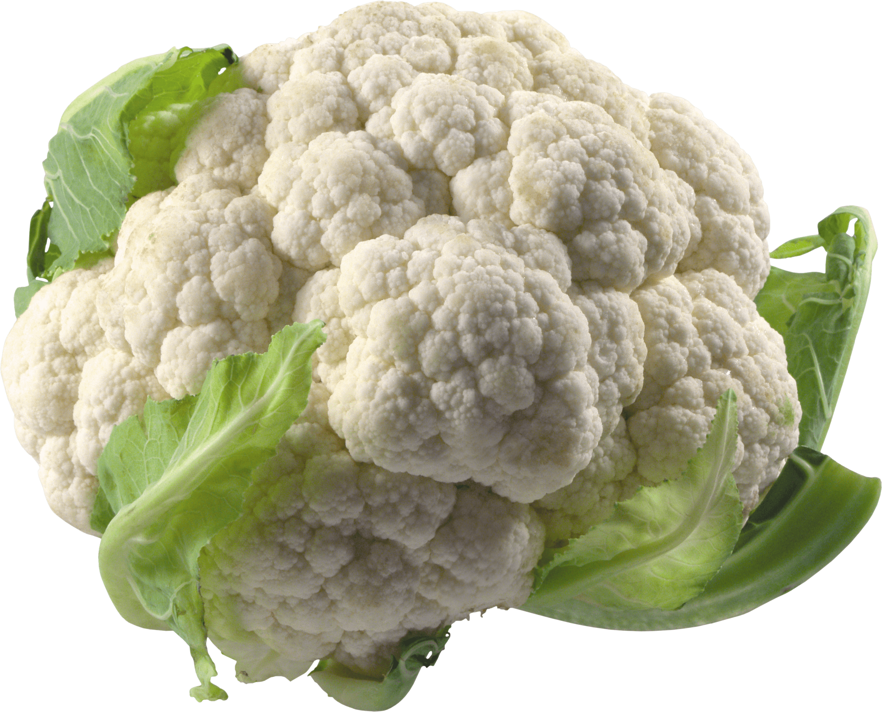 Cauliflower Large