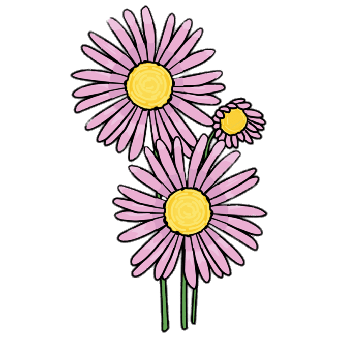 Pink Aster Clipart
