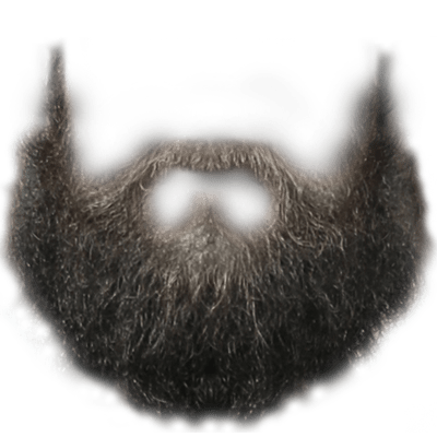 Perfect Hipster Beard