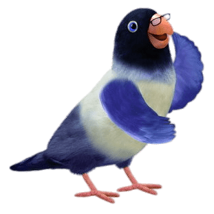 3rd&Bird Mr.Lovebird