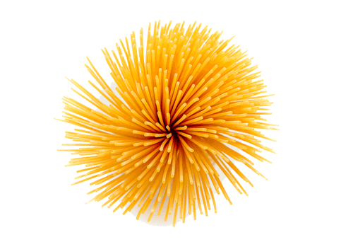 Spaghetti