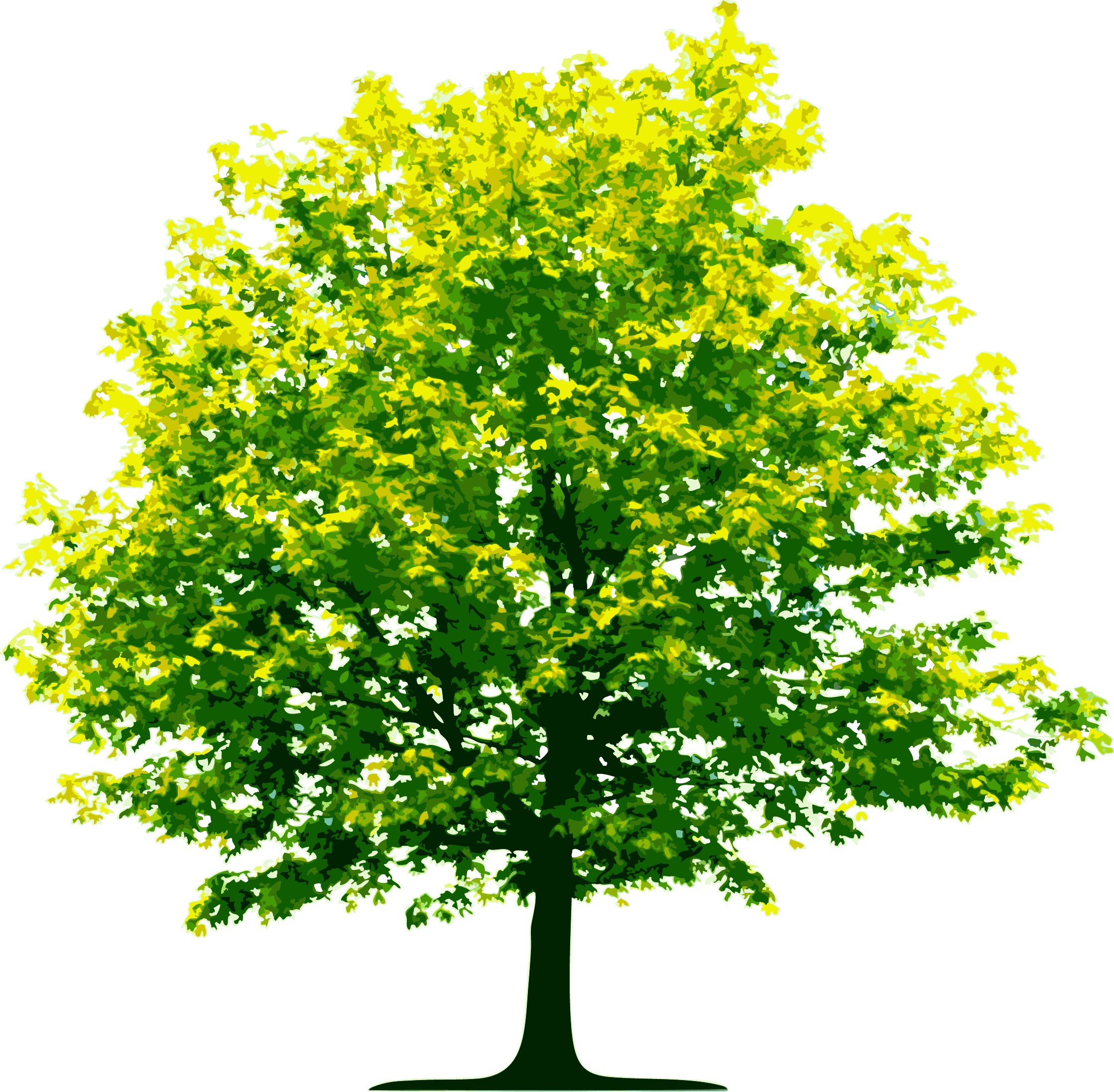 Light Green Tree
