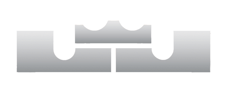 LeBron Shoes logo silver