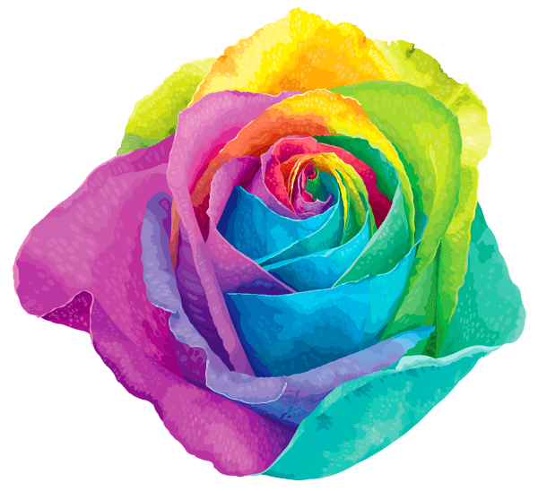 Rainbow Flower